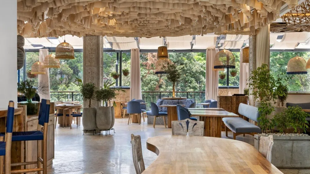 Nairobi's Greek Food Wave Starts in Westlands