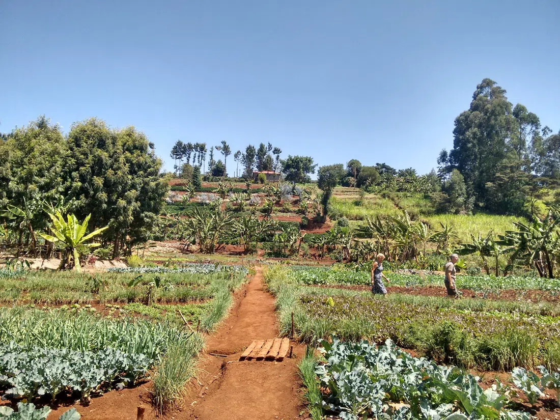Mlango Farm, Nairobi