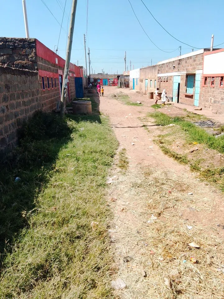 Faras, Nairobi