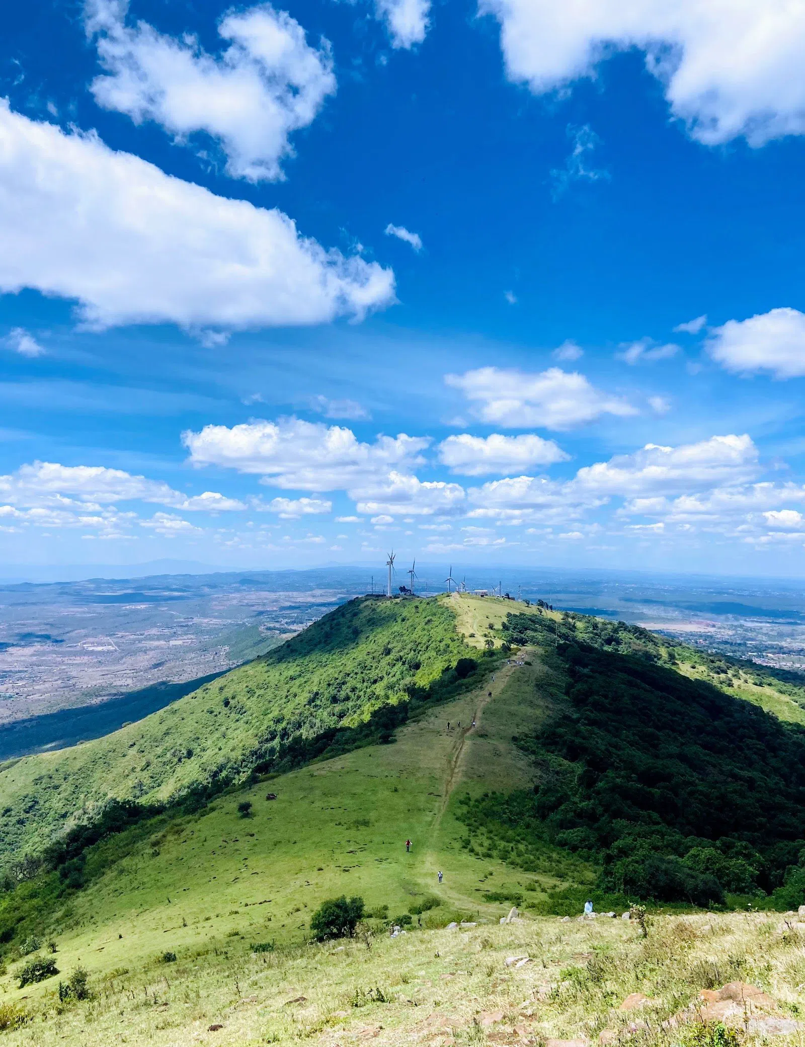 Ngong Hills Forest Reserve, Nairobi