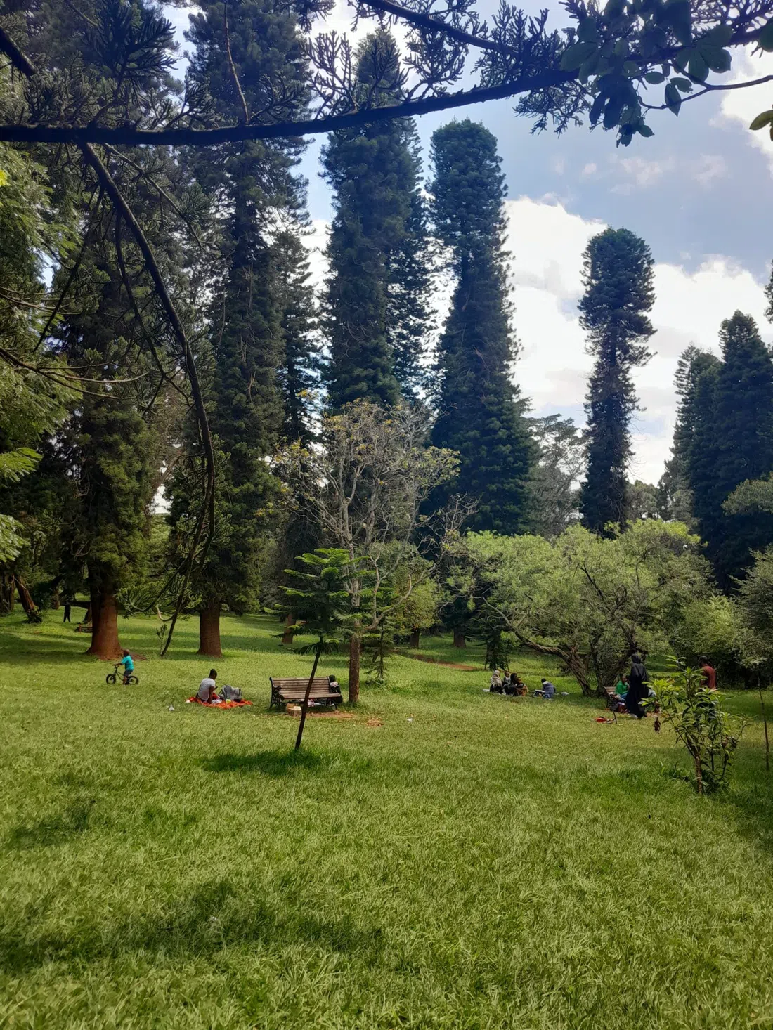 Nairobi Arboretum, Nairobi