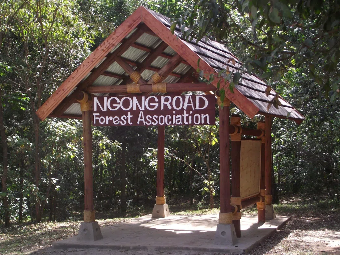 Ngong Road Forest Sanctuary, Nairobi