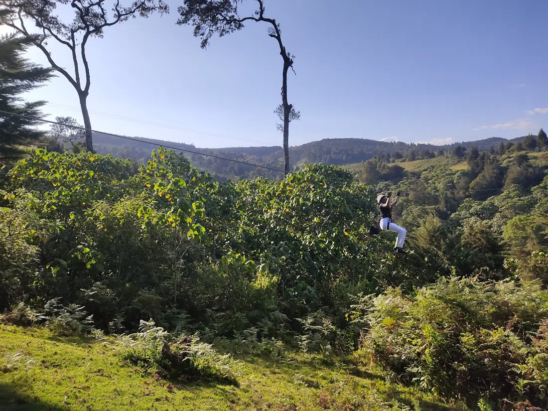 The Forest, Kereita, Nairobi