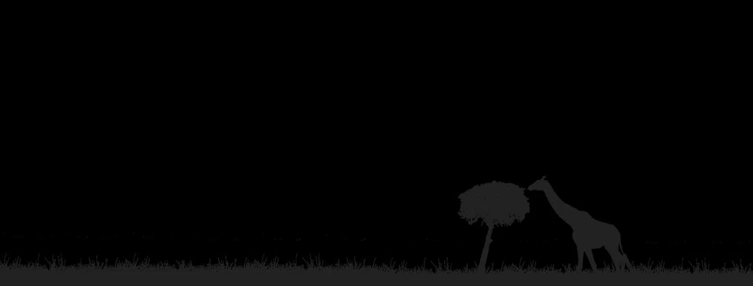Soysambu Conservancy, Nairobi