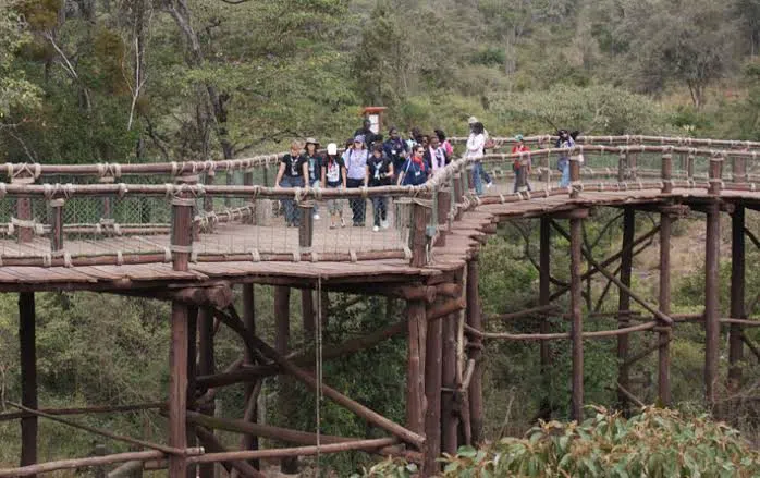 Nairobi Safari Walk, Nairobi