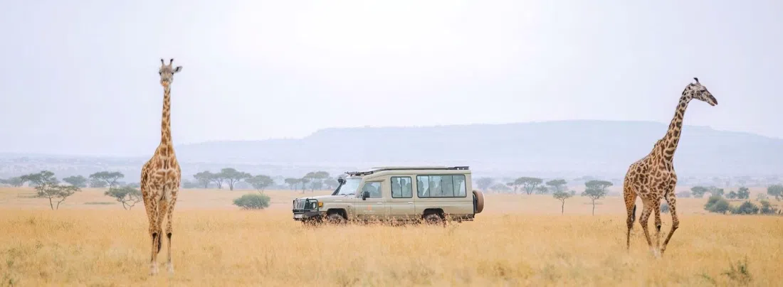 Mara Serena Safari Lodge,内罗毕