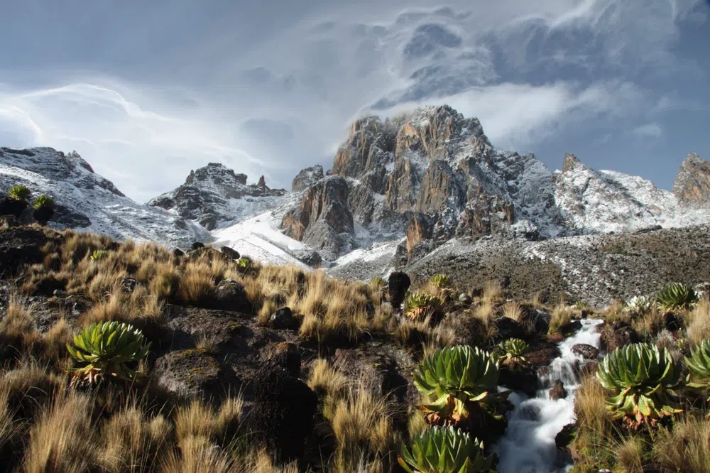 Walking Up Mt. Kenya in November from Nairobi