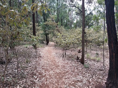 Karura Forest Bike Ride