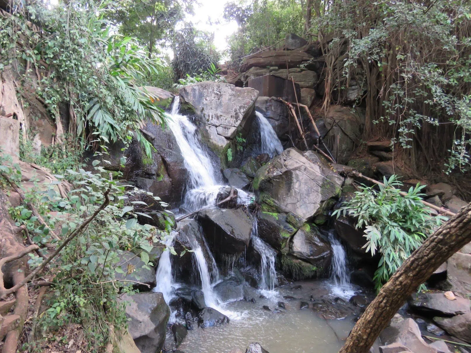 Oloolua Nature Trail, Nairobi