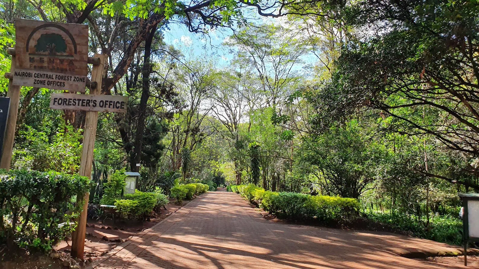 Brackenhurst Botanic Garden and Forest, Nairobi