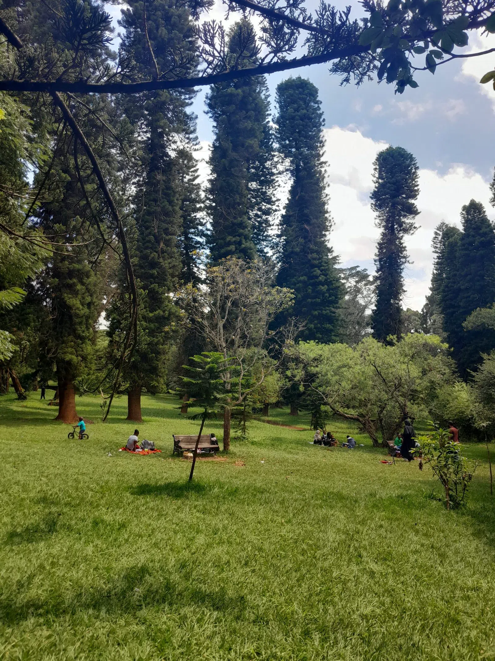 Nairobi Arboretum, Nairobi